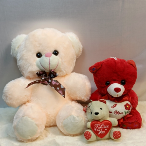 Adorable Teddy Bear Family Gift Set