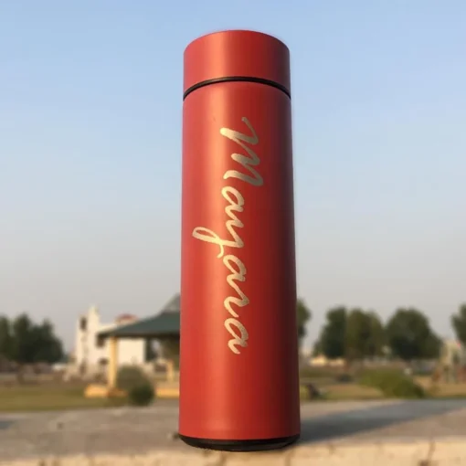 Stainless Steel Thermos Bottle2